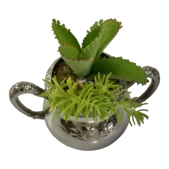 Homan Silver Planter With Live Succulents Mother Of Thousands & Sedum - Picture 4 of 4